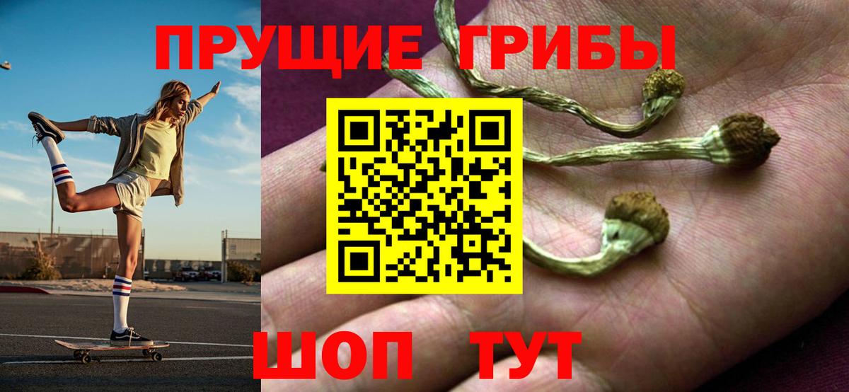 Галлюциногенные грибы MAGIC MUSHROOMS  Вход с VPN  Нижнеудинск 